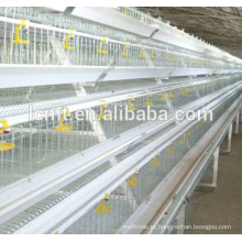 equipamentos automáticos de avicultura de frangos de corte